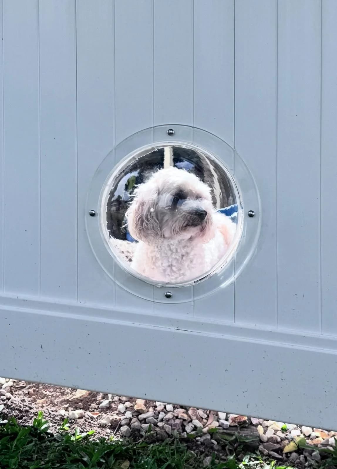 PVC privacy fence with dog peephole bubble window